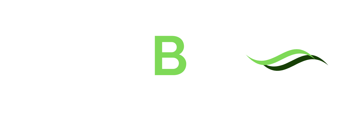 Digitaal BD